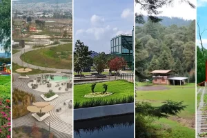 Destino Comercial: Cómo Llegar A Plaza Jardín De Manera Sencilla