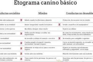 Etograma De Un Perro