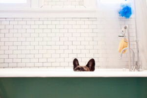 Reacabat de banyeres: bricolatge vs. professionals