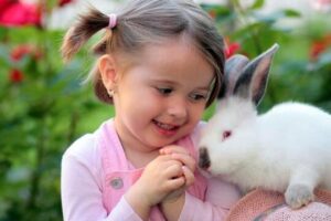 Conejos como mascotas: Descubre los beneficios y todo lo que debes considerar antes de adoptar