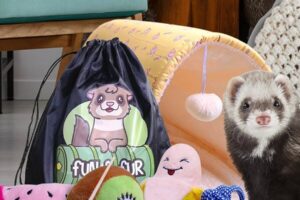 Juguetes para hurones: mantén a tu peludo amigo activo y feliz