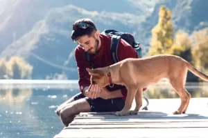 Viajar con perros: Descubre cómo disfrutar unas vacaciones seguras y sin preocupaciones junto a tu mejor amigo peludo