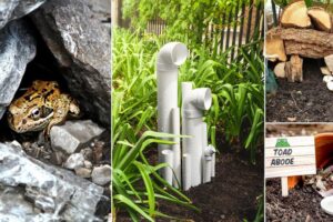 22 ideas de bricolaje para matar plagas de forma natural
