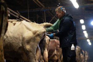 Les 21 pitjors feines del món