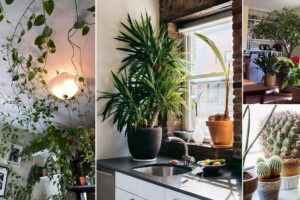 21 fabulosas ideas de decoración de plantas de interior: para cada parte del hogar