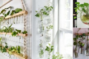 23 Ideas de plantas de interior en la pared de agua