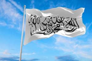 Diferencia entre talibanes y Al Qaeda