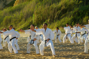 Diferencia entre Kung Fu y Karate