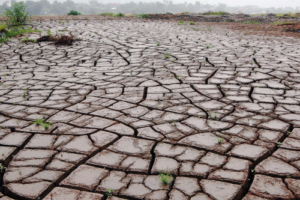 Diferencia entre El Nino y La Nina