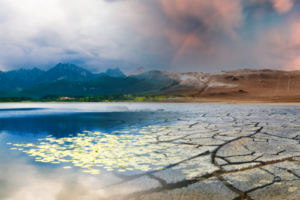 Diferencia entre el cambio climático y el calentamiento global