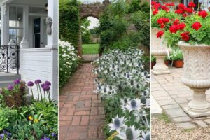 13 flores que aumentarán el atractivo de su casa