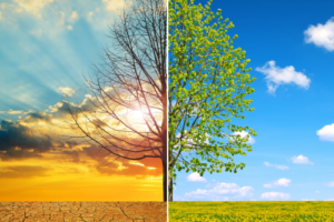Diferencia entre el calentamiento global y el efecto invernadero