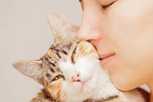 Cómo Enseñar a un Gato a No Arañar y Morder Manos