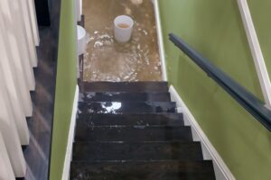 Cómo arreglar un sótano húmedo y sacar agua de un sótano