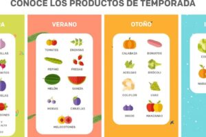 Cómo utilizar y configurar para cada temporada