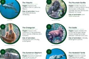 10 Animales Mas Peligrosos en el Mundo