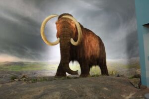 Los 10 Animales de la Edada del Hielo