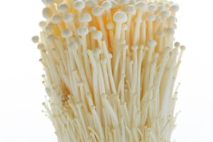 Cómo cultivar setas Enoki: cultivar y comer setas Enoki
