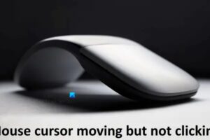 El cursor del ratón se mueve pero no hace clic en Windows 11