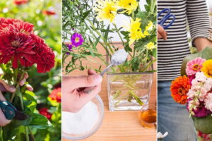 Cómo mantener las flores cortadas frescas durante más tiempo: 9 consejos profesionales