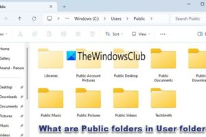 ¿Qué son las carpetas públicas en la carpeta de usuario en Windows 11