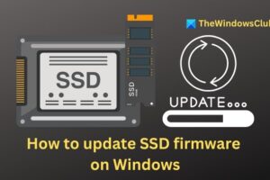 Cรณmo actualizar el firmware SSD en Windows 11