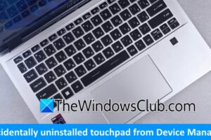 Touchpad desinstalado del Gestor de dispositivos; ยฟCรณmo reinstalarlo?