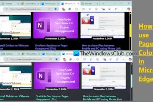 Cรณmo utilizar los colores de la pรกgina en Microsoft Edge en Windows 11