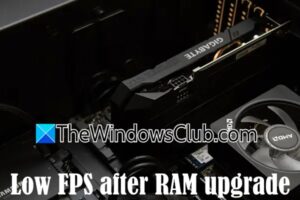 FPS bajo después de la actualización de la memoria RAM en el ordenador Windows