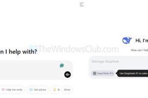 Deepseek vs comparaciรณn de chat
