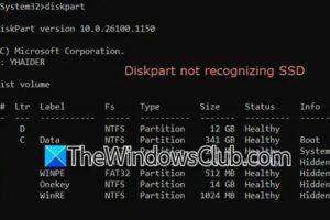 Diskpart no reconocer SSD en Windows 11