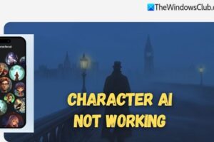 Personaje y no funciona ni se carga en PC o móvil [Fix]
