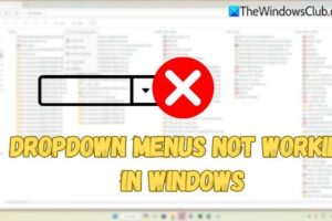 Los menรบs de Drop -down no funcionan en Windows 11