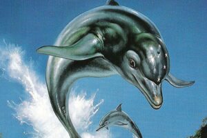 Ecco the Dolphin y las mareas del tiempo para ser remasterizadas + un tercer juego nuevo en camino