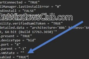 VMware VM suspende automáticamente; Se hace una pausa