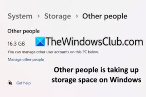 Otras personas ocupan espacio de almacenamiento en Windows 11