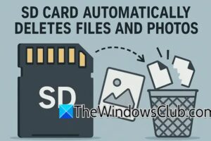 La tarjeta SD elimina automáticamente archivos y fotos en PC