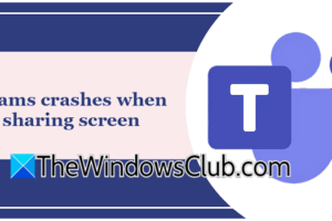 EQUIPS Bloque cuando comparten la pantalla en Windows 11