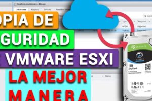 Cómo hacer una copia de seguridad de la configuración del host ESXI VMware