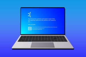 Pantalla azul de la fijación de la muerte (Windows 11)