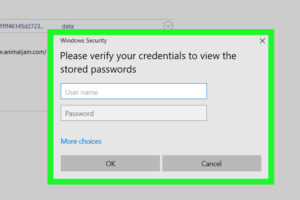Windows Credential Manager no muestra contraseña