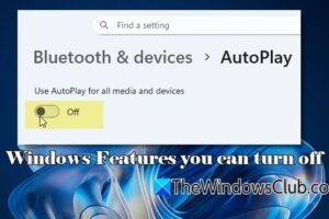 Características de Windows Puede deshabilitar -Vos A Windows 11
