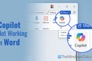 Co -pilot no funciona en palabra [Fix]