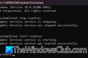 No se puede iniciar sesión en la cuenta de Microsoft en Windows 11