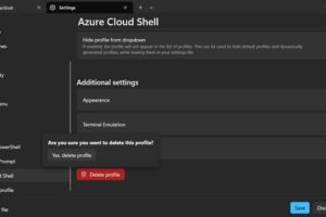Cรณmo eliminar un perfil de terminal en Windows 11