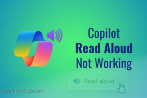 La lectura en voz alta del copiloto no funciona [Fix]
