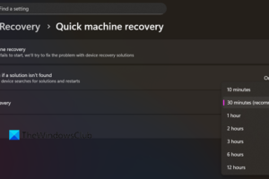 Cómo configurar los ajustes de recuperación rápida de la máquina en Windows 11