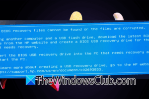 Los archivos de recuperación del BIOS no se pueden encontrar o los archivos están dañados [Fix]
