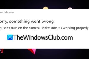Windows Hello no pudo encender la cámara [Fix]