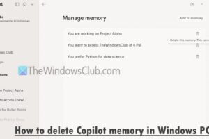 Cómo borrar la memoria Copiloto en Windows 11